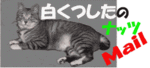 白くつしたf0145633_21363376.gif